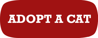 ADOPT-A-CAT