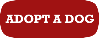 ADOPT-A-DOG