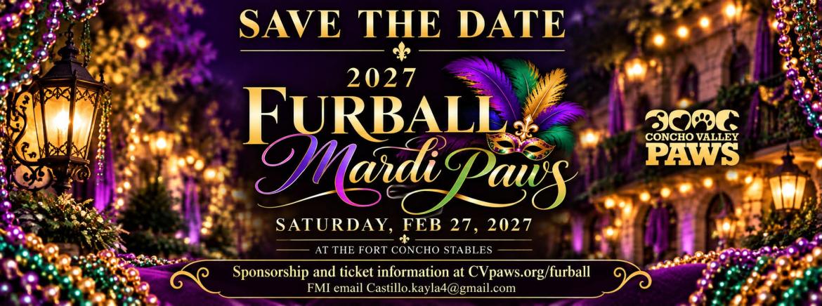 furball 2027 fb header