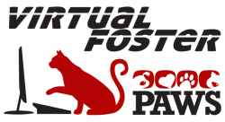Prog 0001 0001 Virtual-Foster.png