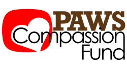 Prog 0009 0009 Compassion-Fund.png