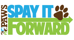 Prog 0019 0019 Spay-It-Forward.png