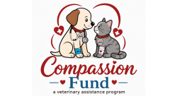 compassion
