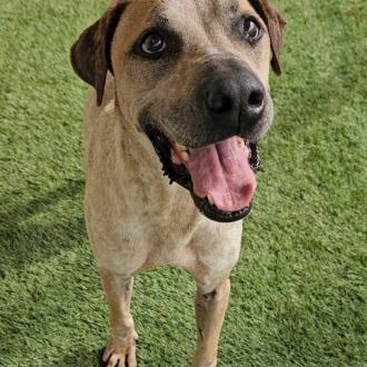 550263268 1238525218313790 6653456837662499012 n